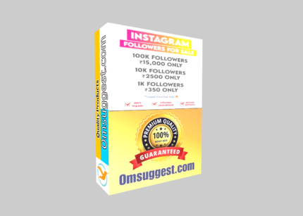Instagram Followers Service
