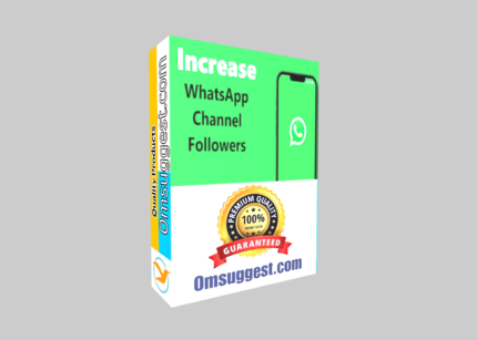 WhatsApp Channel Follower Service